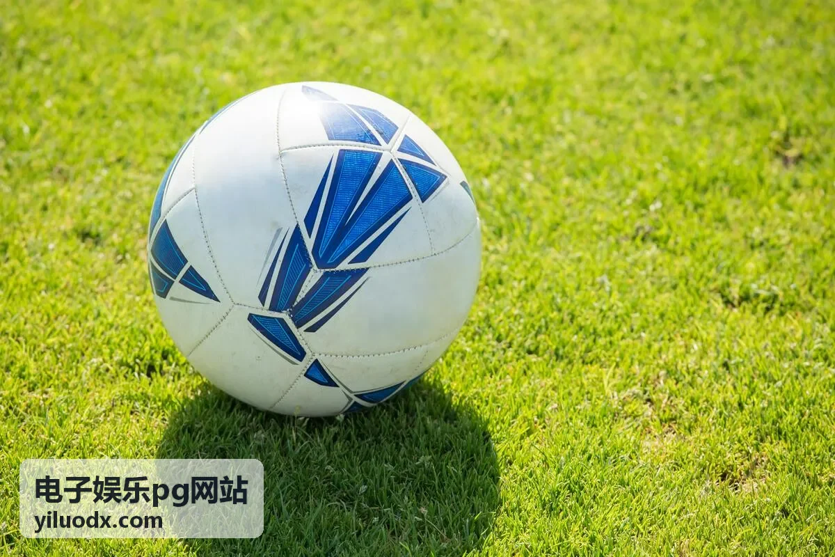 电子娱乐pg网站新手机台选择回放封面